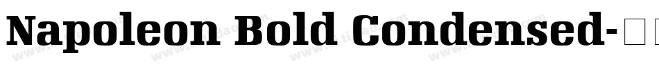 Napoleon Bold Condensed字体转换